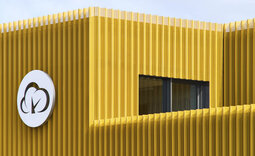 Detailansicht der honiggelben Trapezprofilfassade am Bürogebäude mit Fensterausschnitt